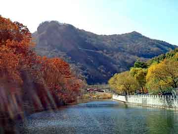 澳门天天彩期期精准平肖，北京格力空调加氟